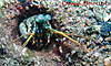 DSC01147_rs.jpg