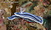 P3240237_rs.jpg