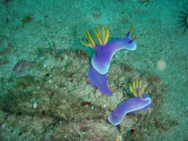 PC070134