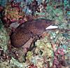 PC070126_copy.jpg