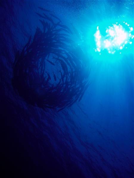 P1010074