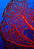 DSC01063.jpg