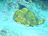 P5210464.JPG