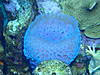 P52205091.JPG