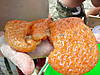 DSCN0045.JPG